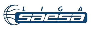 智利SAESA比赛图标