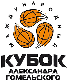 戈梅尔斯基杯比赛图标